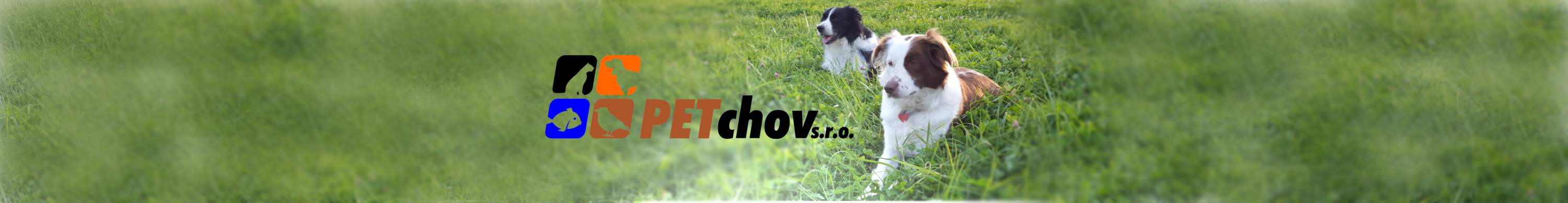banner_petchov4.png